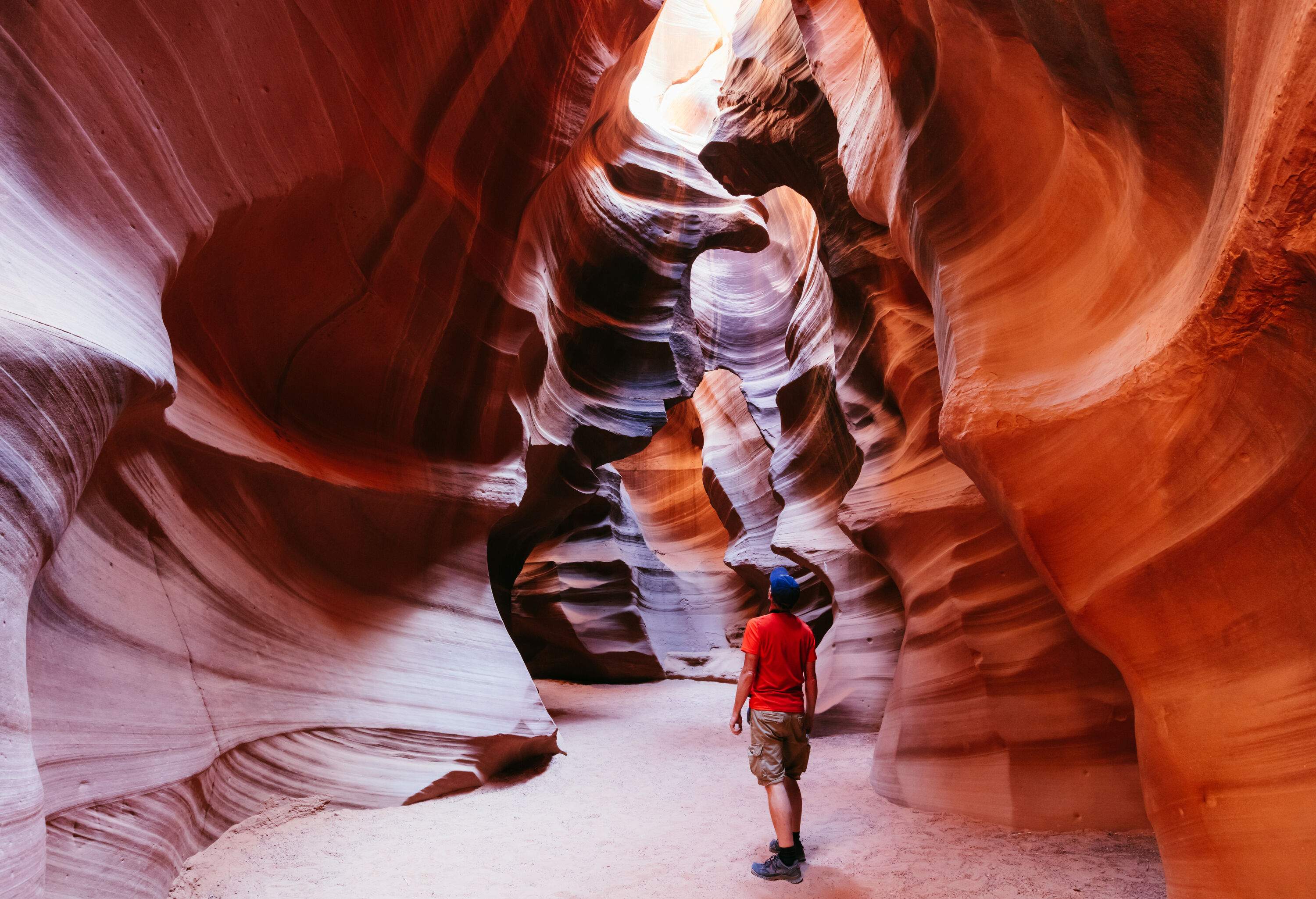 A person stands inside Antelope Canyon, gazing upward through a natural opening in the sandstone formations, immersed in a surreal world of textured beauty and the play of light.