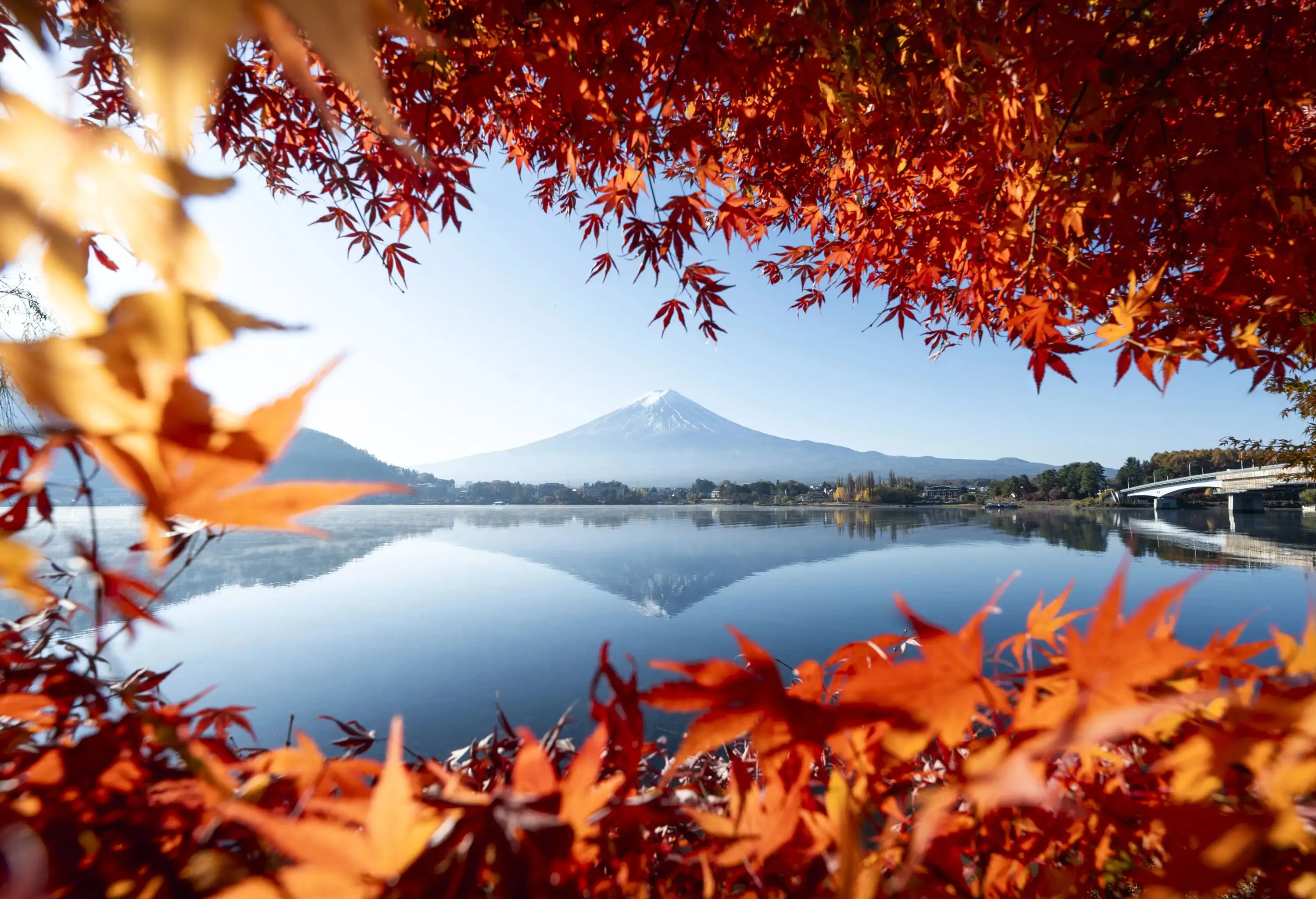 Mountains, blue sky and red leaves.