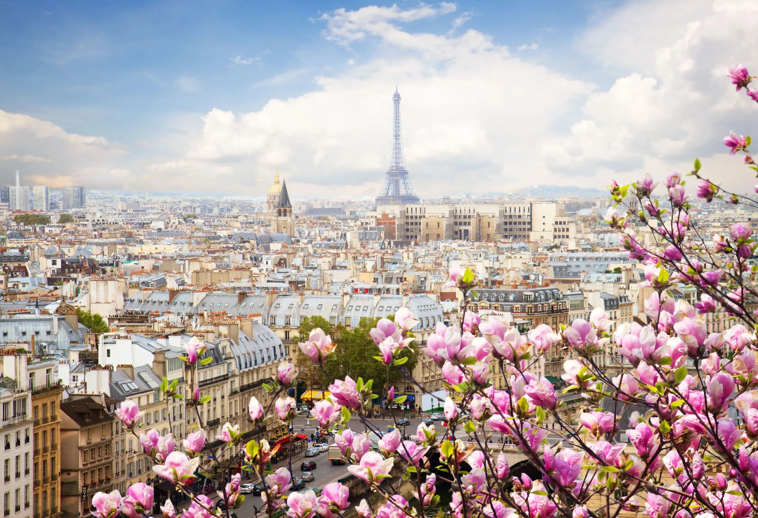 skyline of Paris city roofs with Eiffel Tower  with blooming magnolia spring tree, Paris, France; Shutterstock ID 390084601