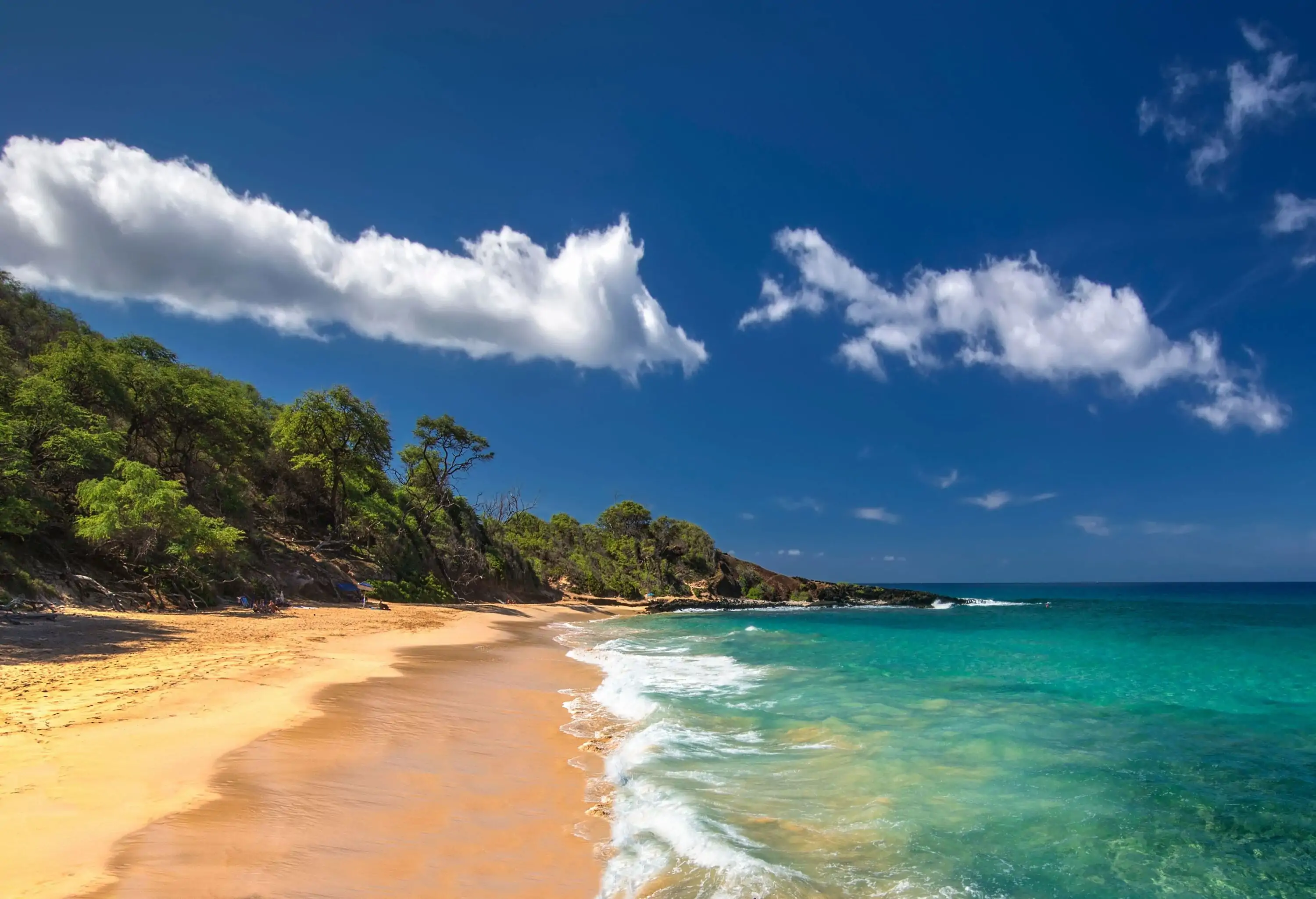 Clear waters roll into the golden sands at the base of a mountain covered by lush green trees.