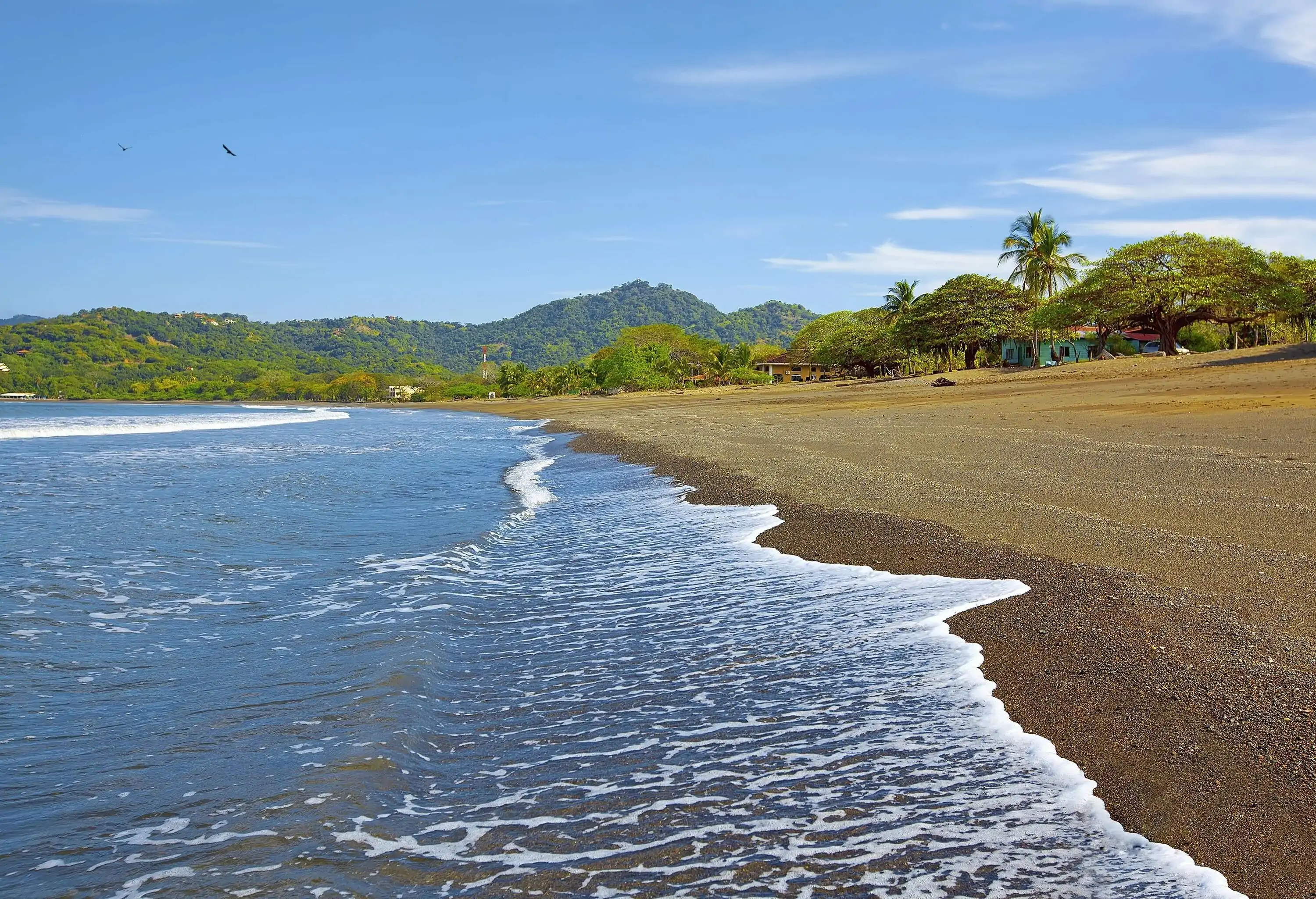 Soft waves gently caress the beach, with lush vegetation and trees adorning the shore, while a verdant hill looms gracefully in the background.