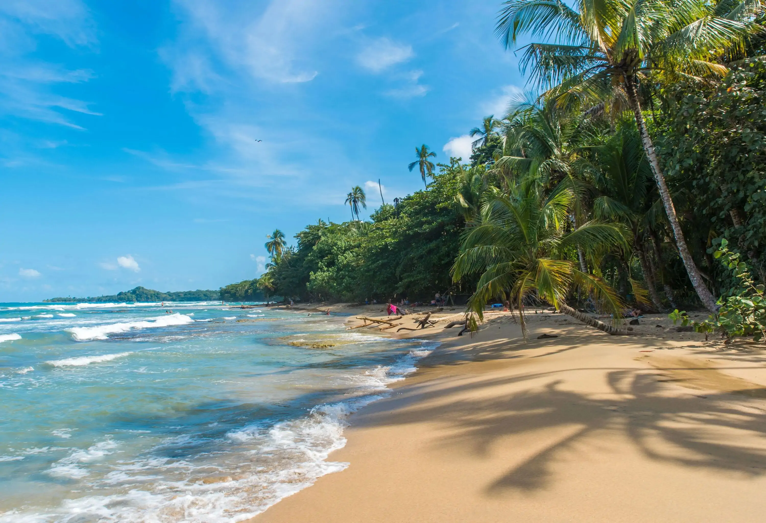 White waves roll into the golden sand, surrounded by thick green trees on a bright sunny day.