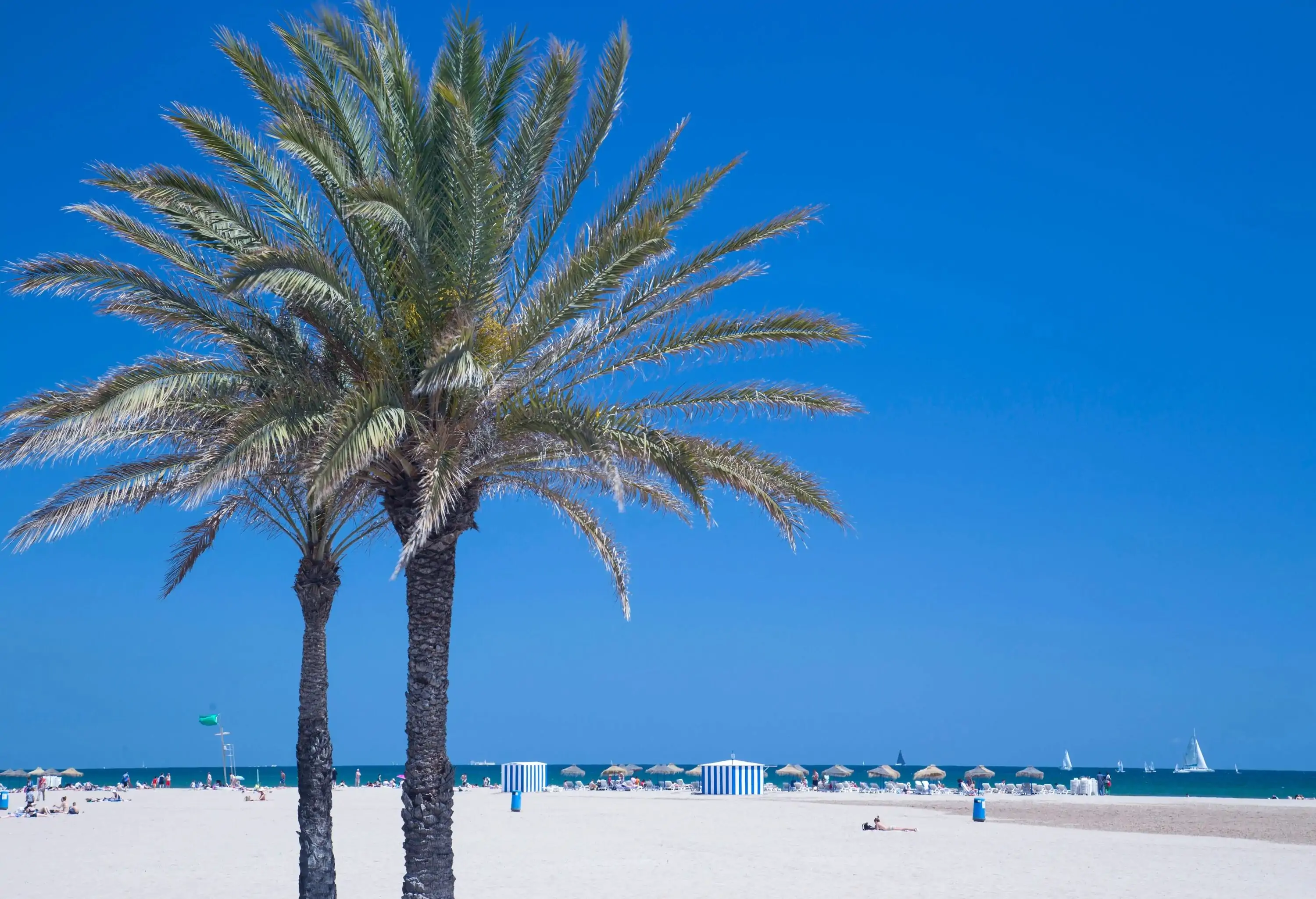 Two palm trees against the white beach and a gorgeous blue sky.