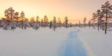 Ivalo