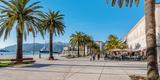 Tivat