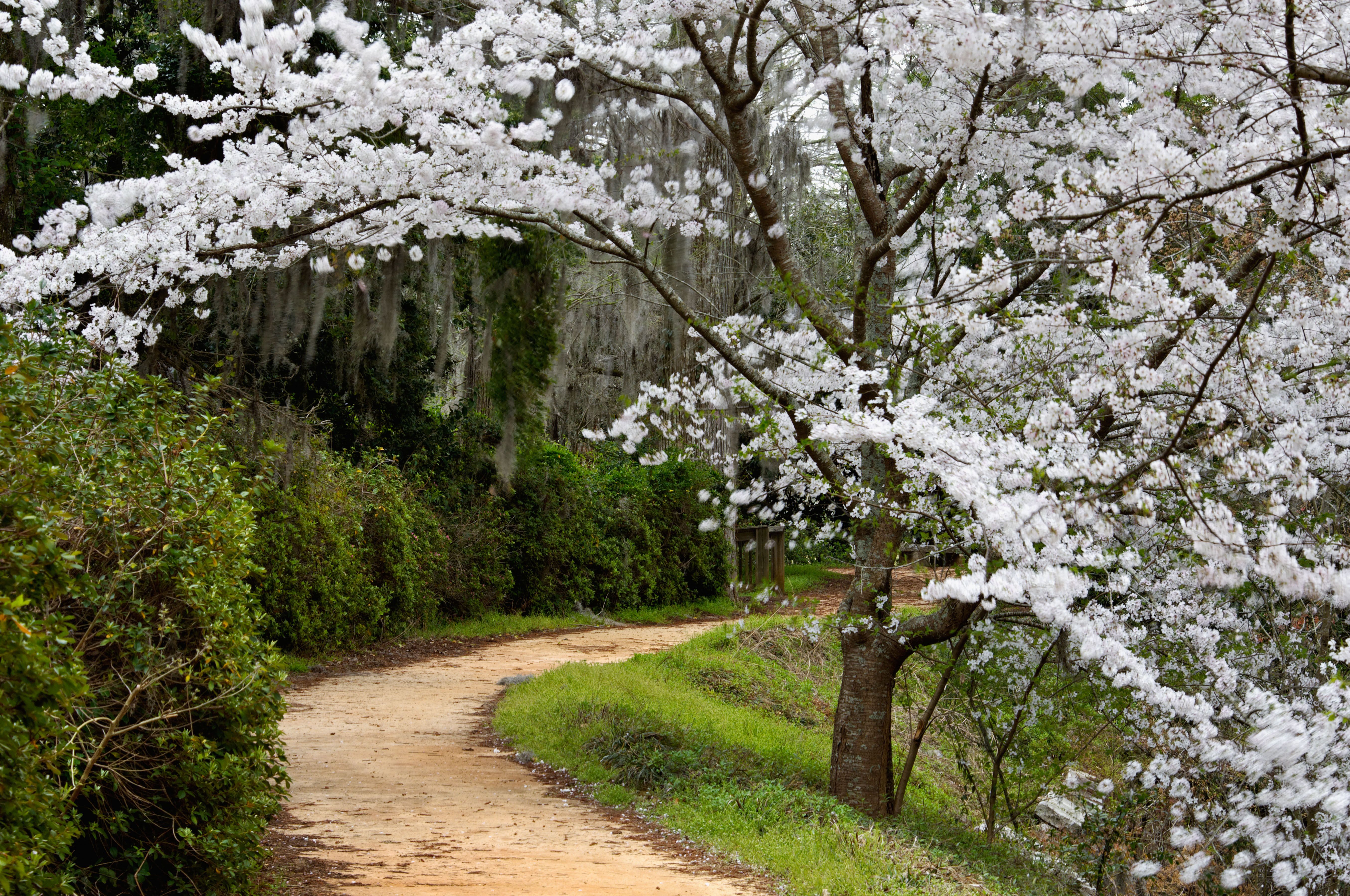 Cargo Van & Moving Truck Rental Orangeburg KAYAK