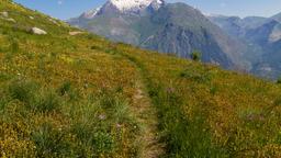 Les Deux-Alpes Hotels