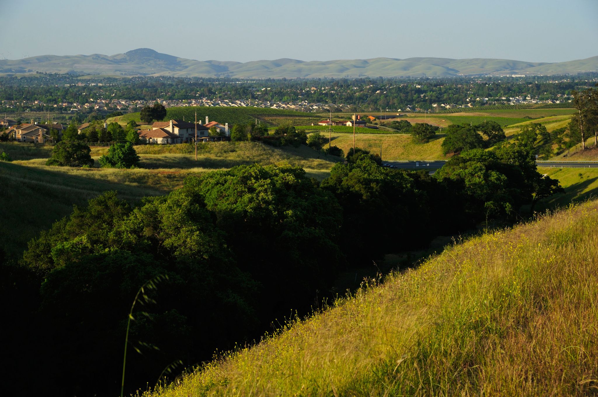 Car Rental Livermore from 25/day Search for Rental Cars on KAYAK