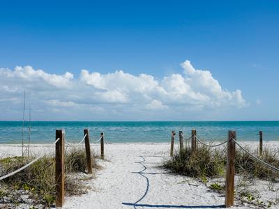 Sanibel Island Hotels: Compare Hotels in Sanibel Island from $36/night on KAYAK Sanibel Island Hotels: Compare Hotels in Sanibel Island from $36/night on KAYAK