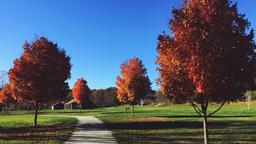Hotels near Latrobe Westmoreland County airport