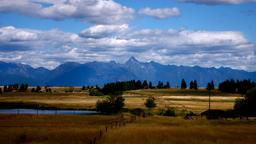 Cranbrook car rentals