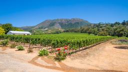 Plettenberg Bay car rentals