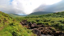 Find cheap flights from Kentucky to Ireland