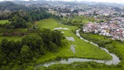 Find cheap flights from Tampa to Guatemala