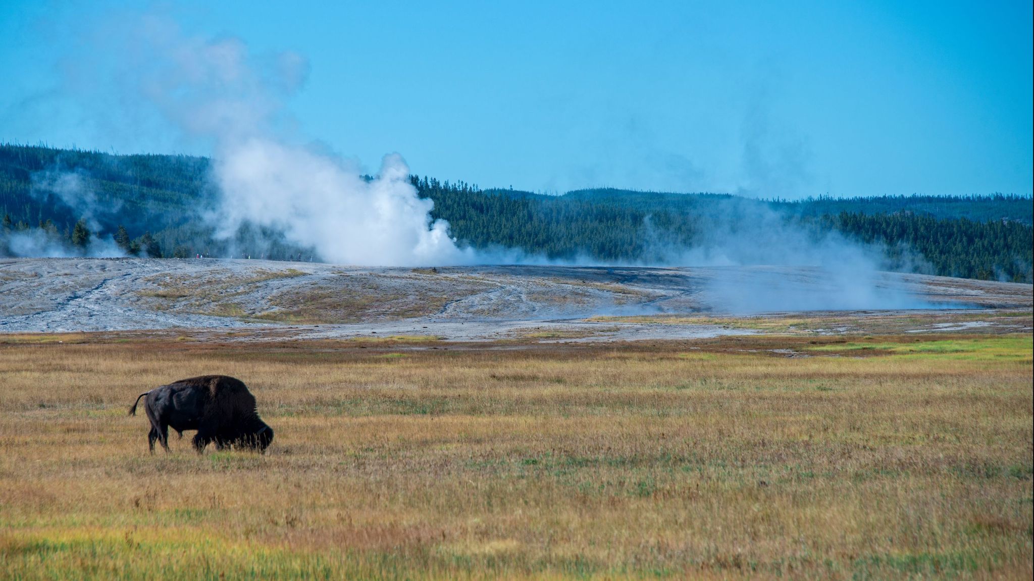 Car Rentals in West Yellowstone Search on KAYAK