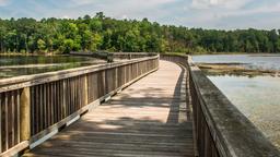 Newport News car rentals