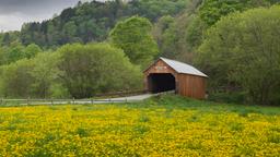 Find cheap flights from Orlando to Vermont