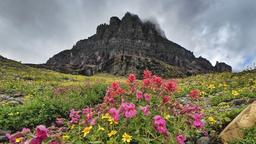 Find cheap flights from San Diego to Montana