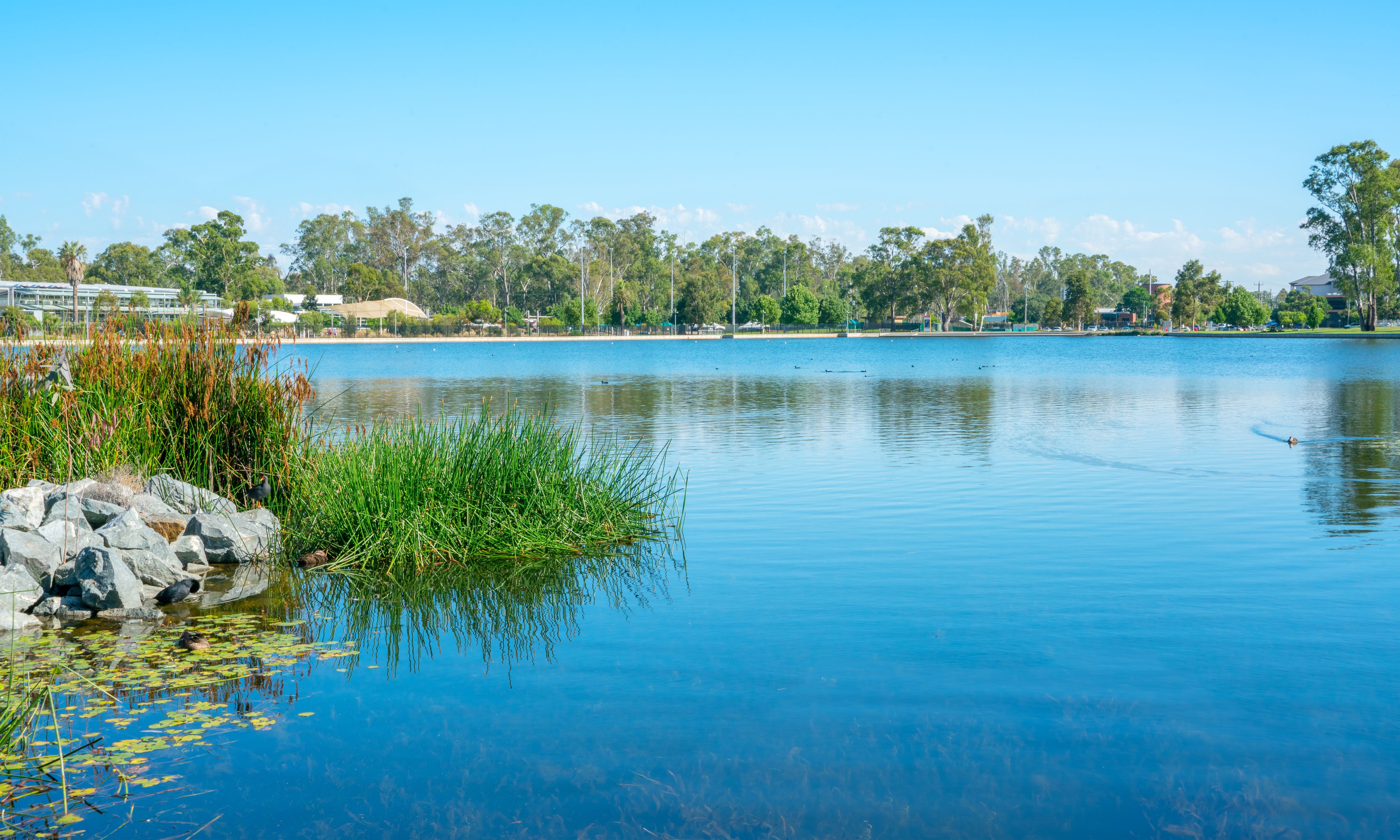 Cargo Van & Moving Truck Rental Shepparton KAYAK