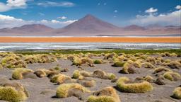 Find cheap flights from St. Louis to Ecuador