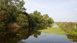 Huntingdon Hotels