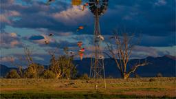Mt. Barker car rentals