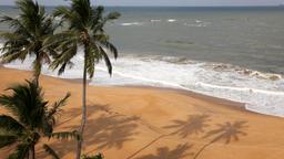 Find cheap flights from Singapore to Colombo Bandaranaike Intl