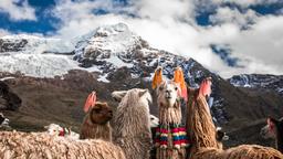 Cusco vacation rentals