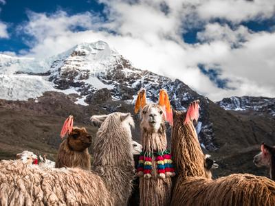 Cheap Flights To Peru From 53 Kayak