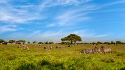 Find cheap flights from Washington Dulles Airport to Kenya