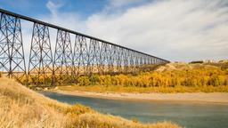 Find cheap flights to Lethbridge