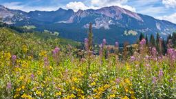 Crested Butte vacation rentals