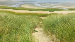 Cape Cod and the Islands vacation rentals