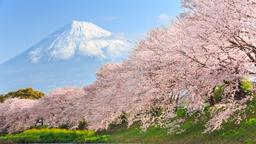 Tokyo Prefecture hotels