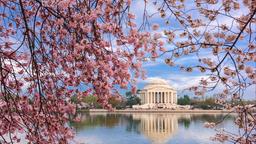 Find train tickets to Washington, D.C.