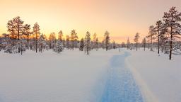 Tornio car rentals