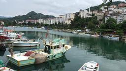 Tirebolu hotels