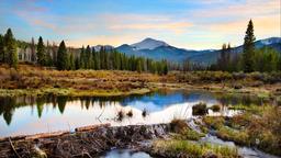 Winter Park hotels