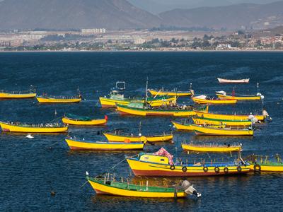 Coquimbo