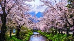 Fujikawaguchiko vacation rentals