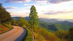 Lexington car rentals