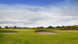 Carnoustie vacation rentals