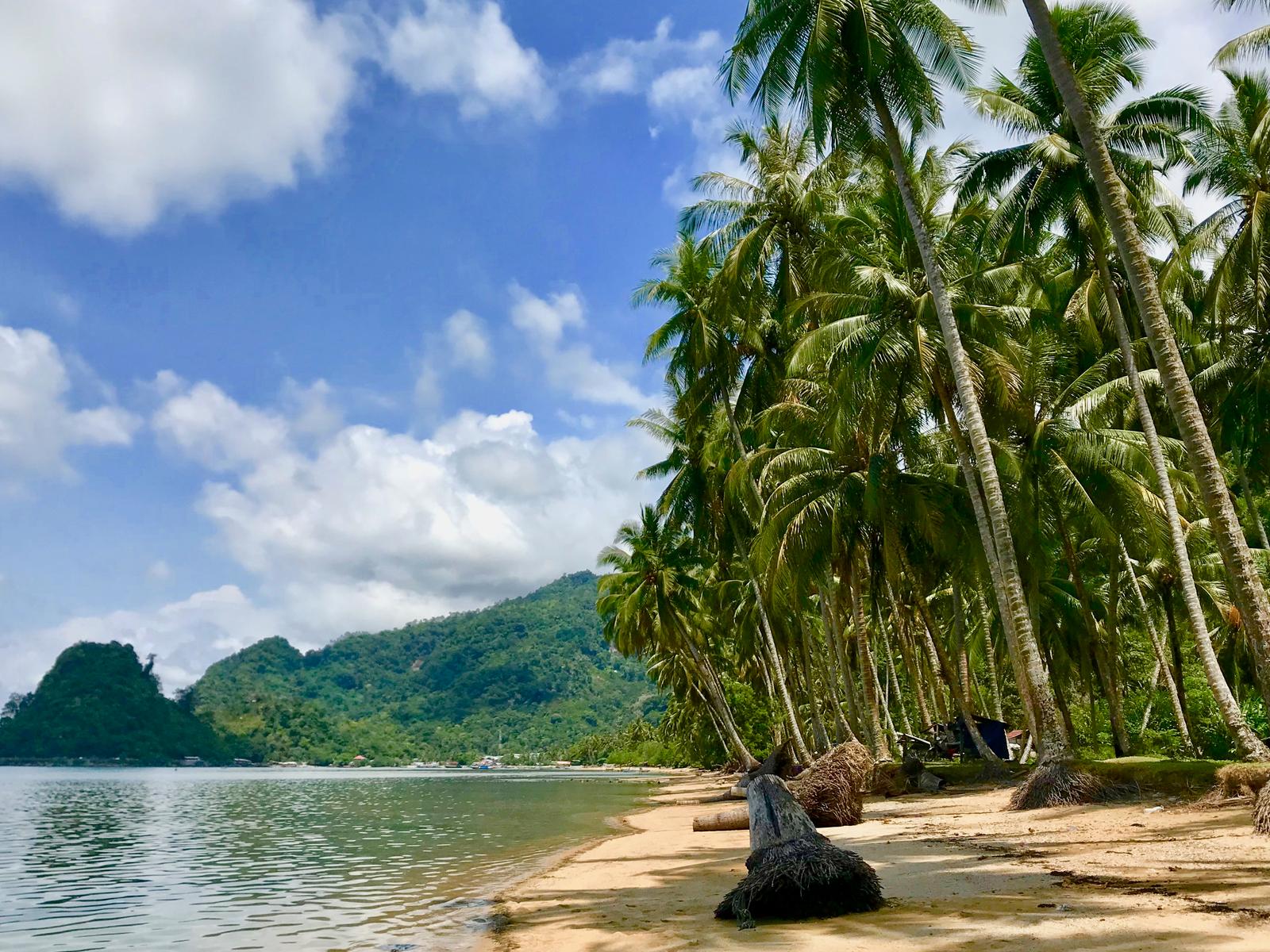 Cheap Flights to Indonesia: Discover More! - Visa Requirements and Travel Essentials