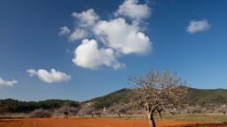 Sant Miquel de Balansat car rentals