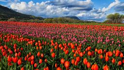 Hotels near Abbotsford airport