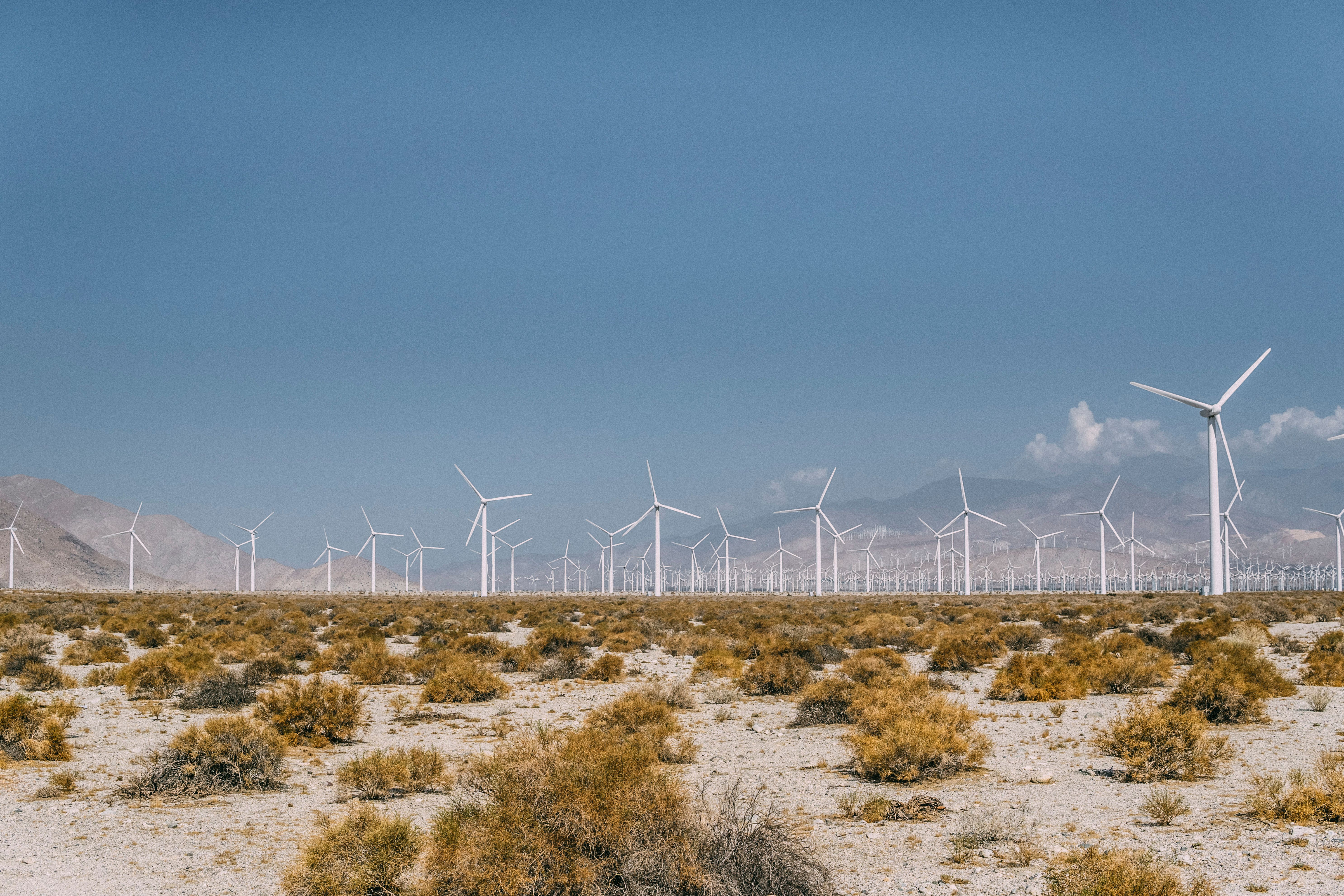 Car Rental Palm Desert From 22day Search For Rental Cars