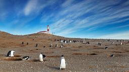 Find cheap flights from Washington to Punta Arenas