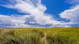 Ocean Shores Hotels