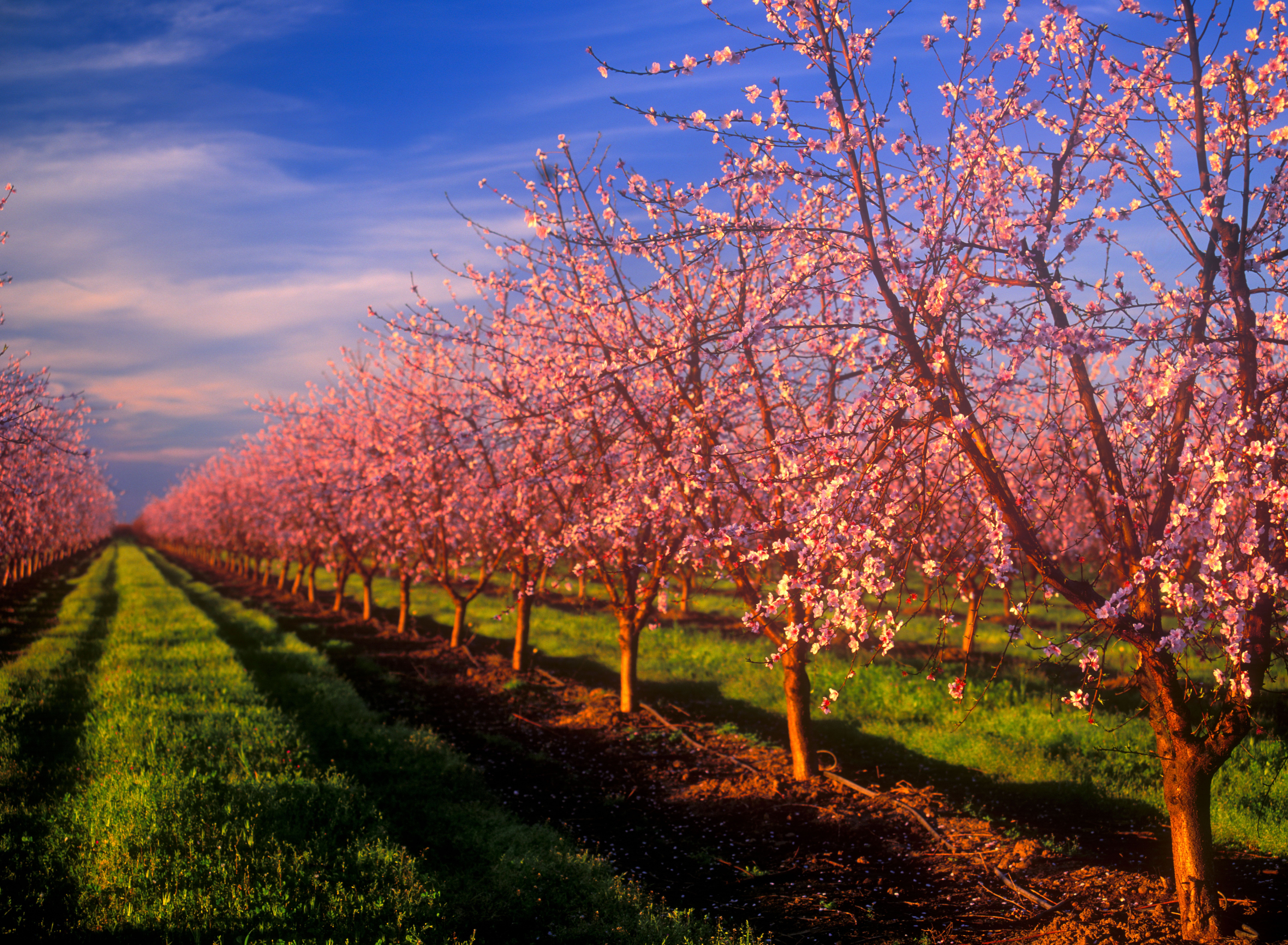 Cargo Van & Moving Truck Rental Yuba City KAYAK