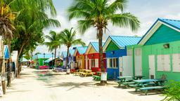 Find cheap flights from Michigan to Barbados